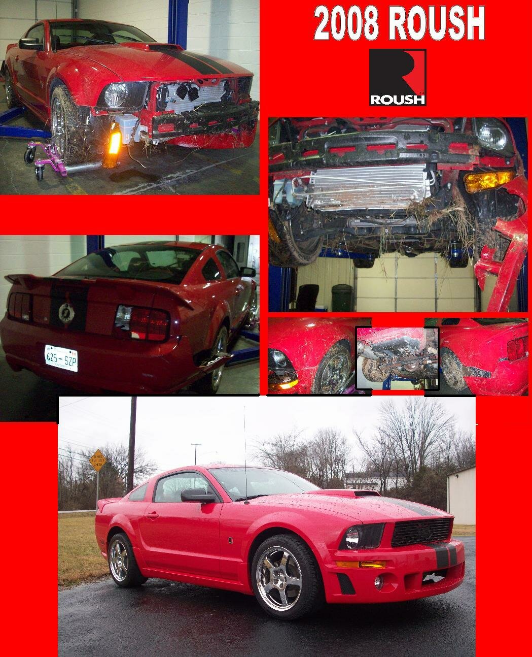 ReynoldsD_rOUSH_mUSTANG
